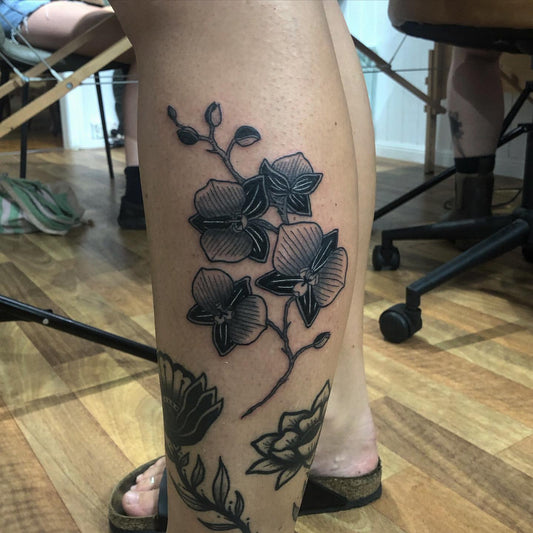 Experience the Bold Beauty of Blackwork Tattoos at Sol Temple Tattoo, Sunshine Coast